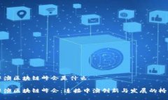 中澳区块链峰会是什么中