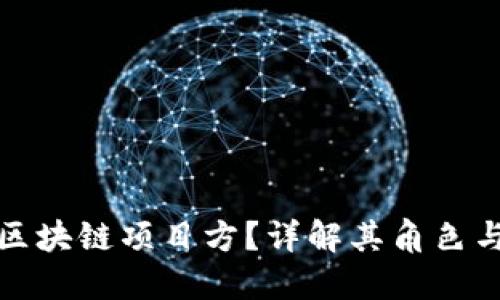 什么是区块链项目方？详解其角色与重要性