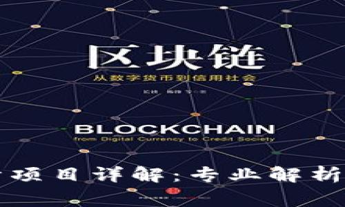 区块链审计项目详解：专业解析与发展前景