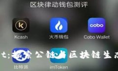 TPWallet：探索公链与区块链